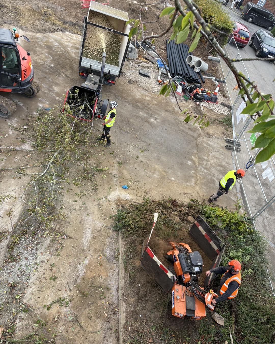 Commercial tree surgery and arboriculture in Canterbury, Kent