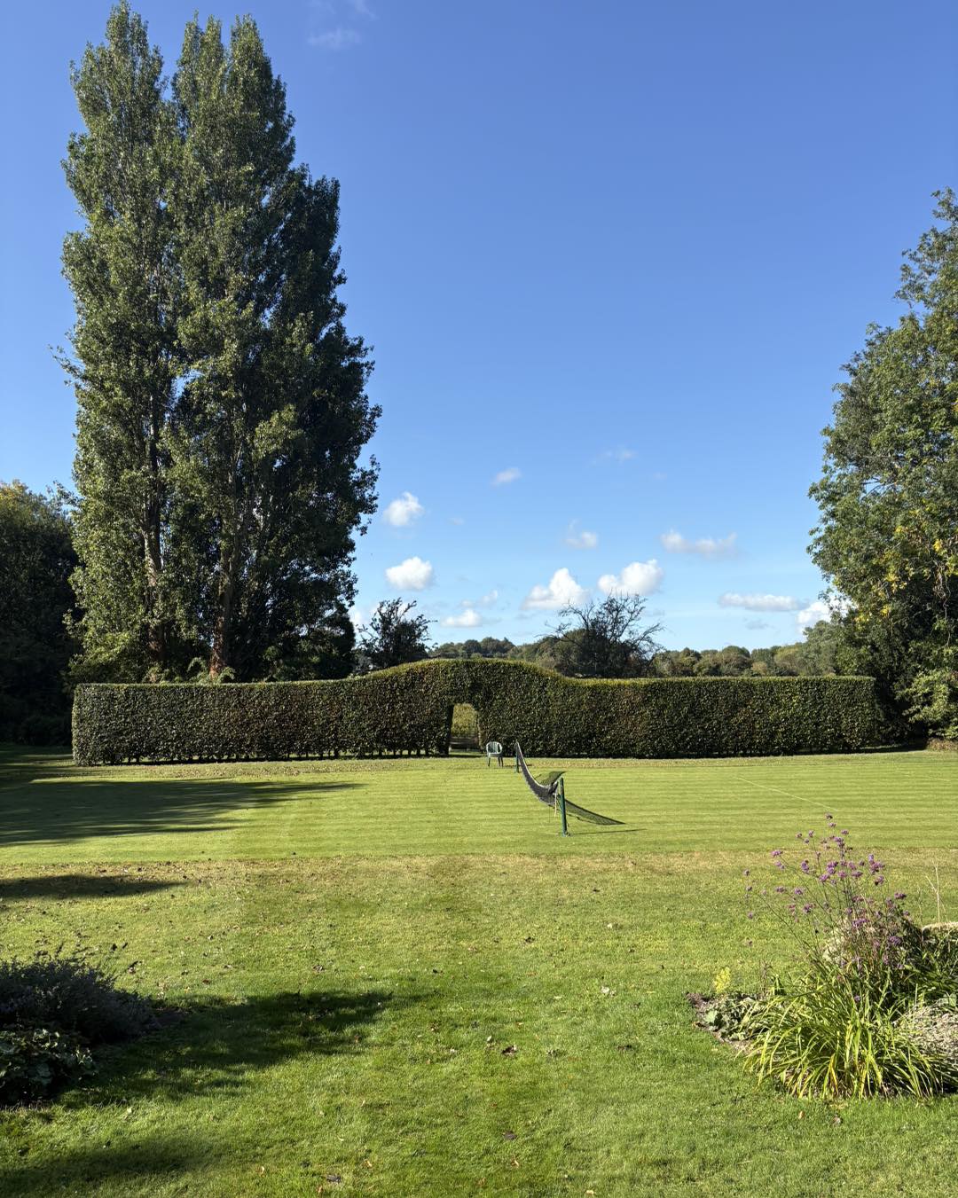Hedge cutting and maintenance in Kent