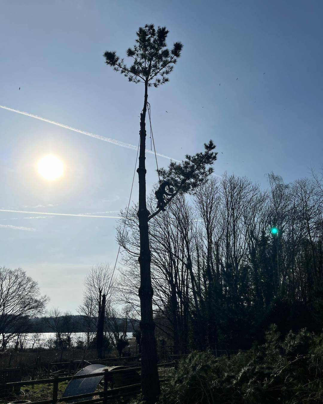 Minters Tree Care professional tree felling team in Kent