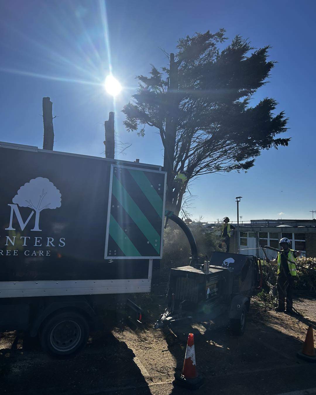 Tree surgery work across East Kent