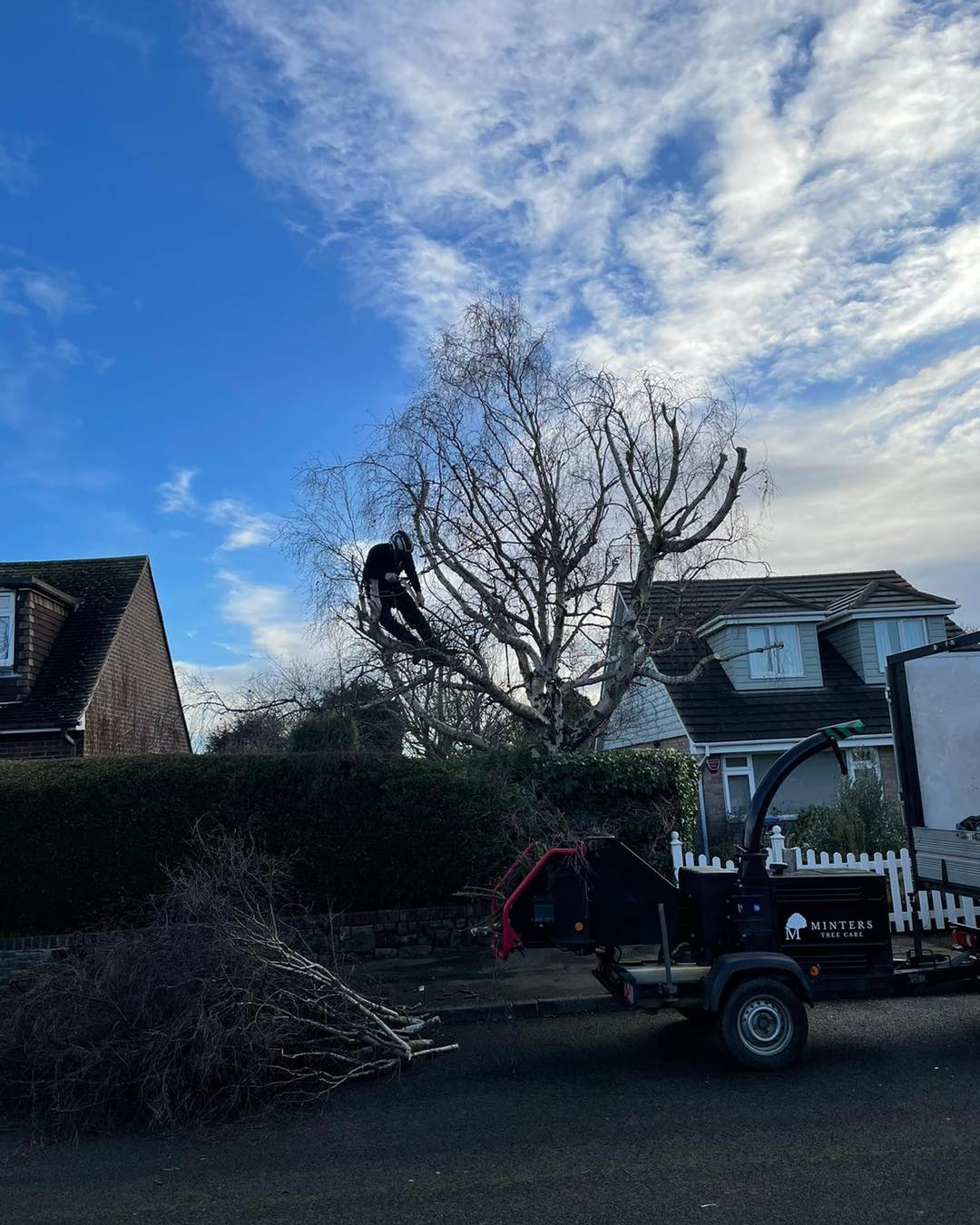 Professional tree reduction work in Canterbury and Dover