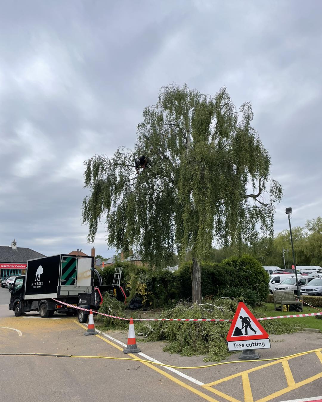 Commercial tree contracts in Kent