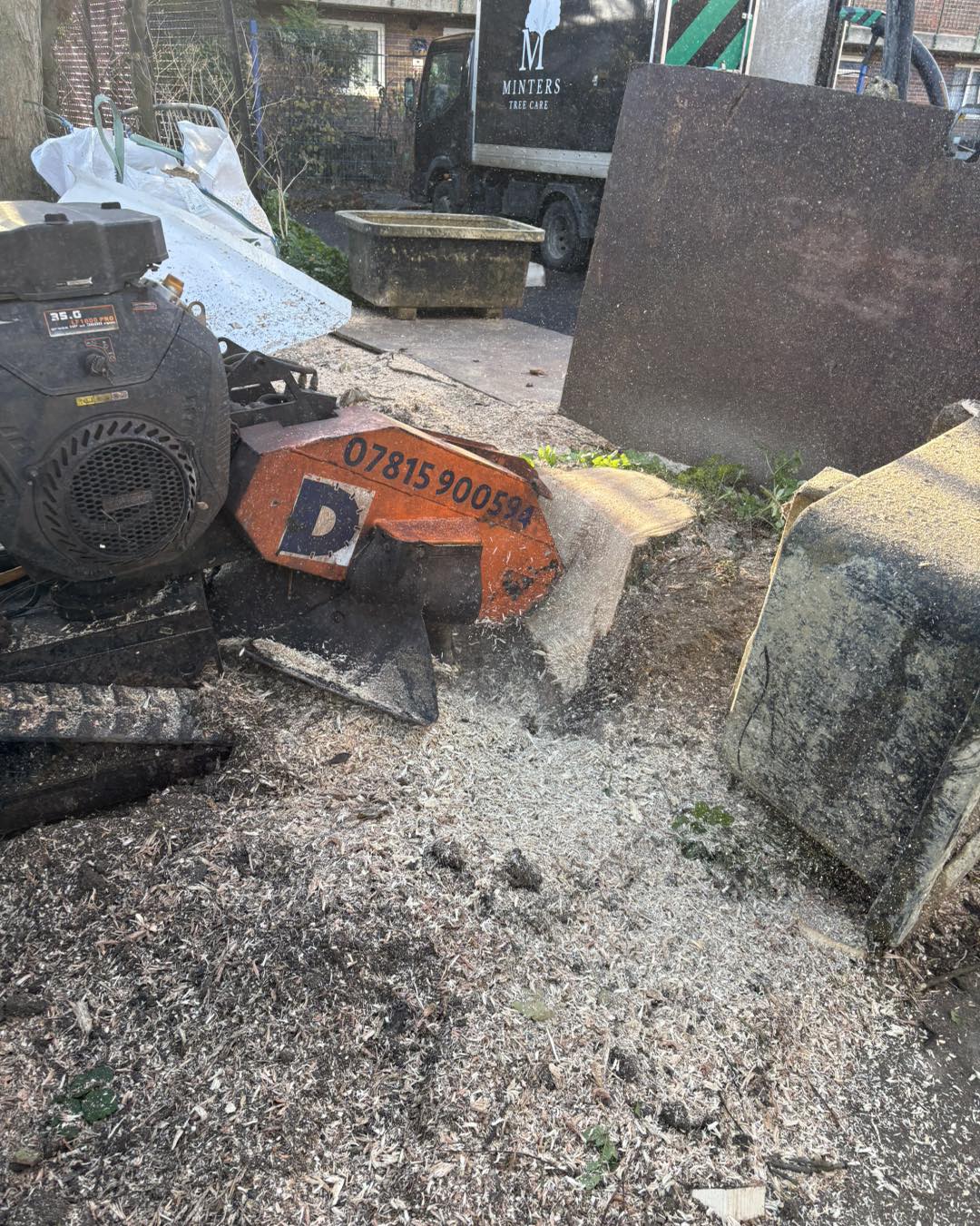 Ash tree removal Ramsgate - works in progress