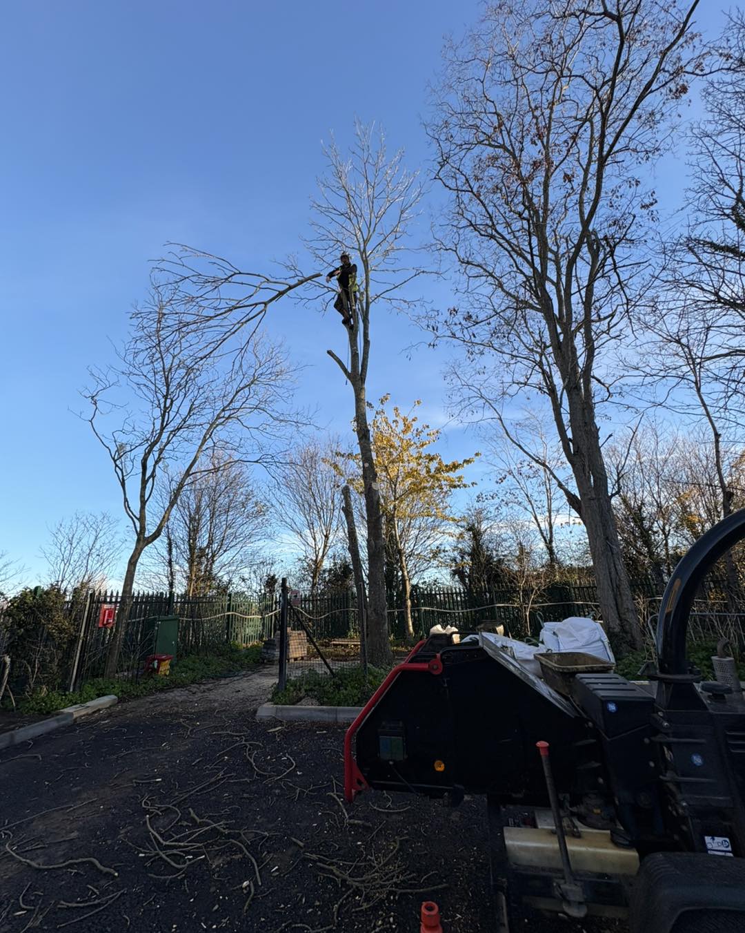 Professional Climbing & Rigging
