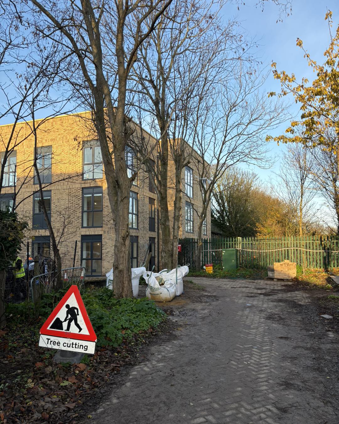 Tree surgery completed in Ramsgate by Minters Tree Care