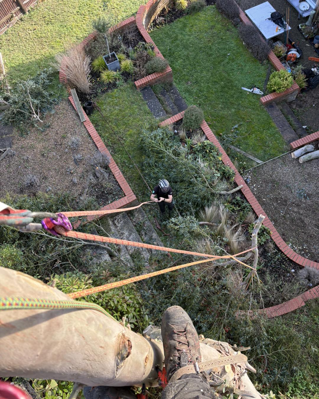 Eucalyptus tree removal Ashford - sectional dismantling