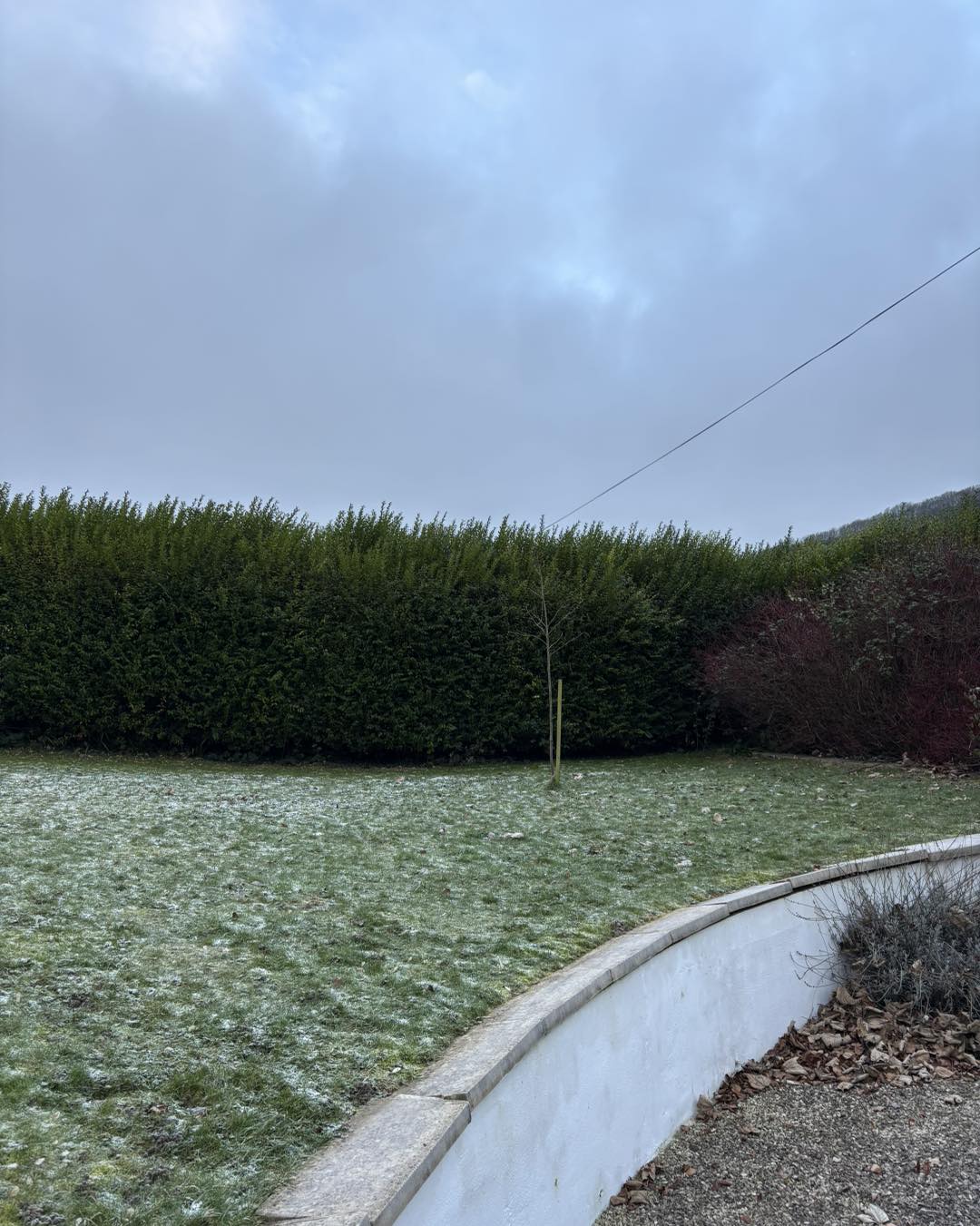 Finished hedge maintenance Dover