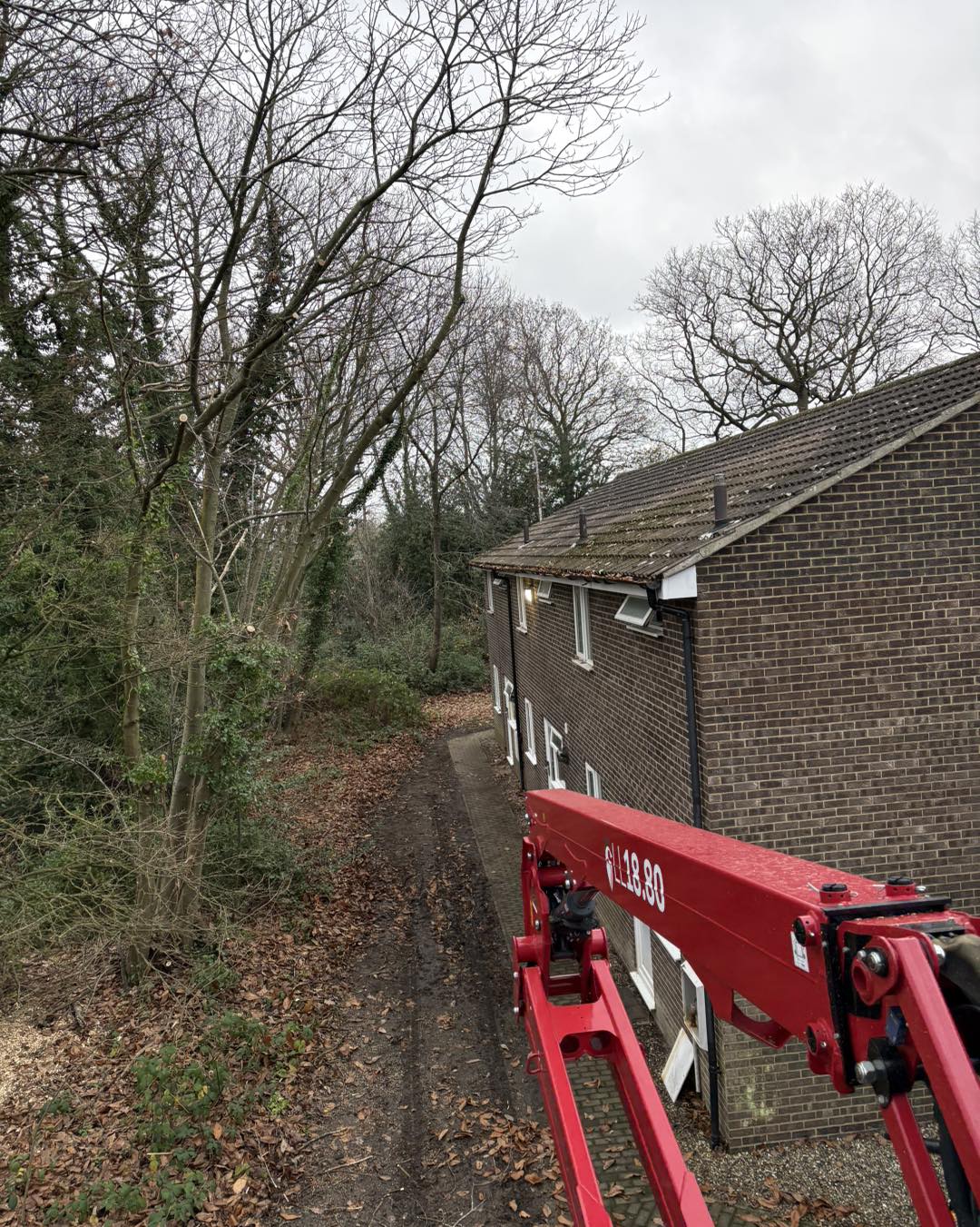 Commercial tree surgery equipment in Kent