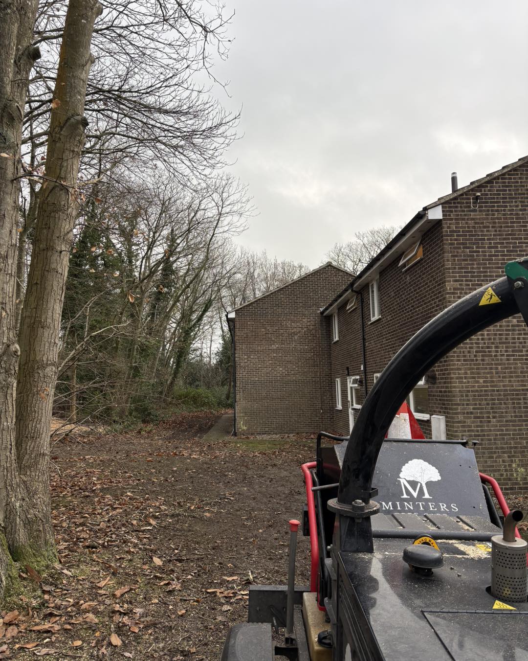 Crown lifting at University of Kent