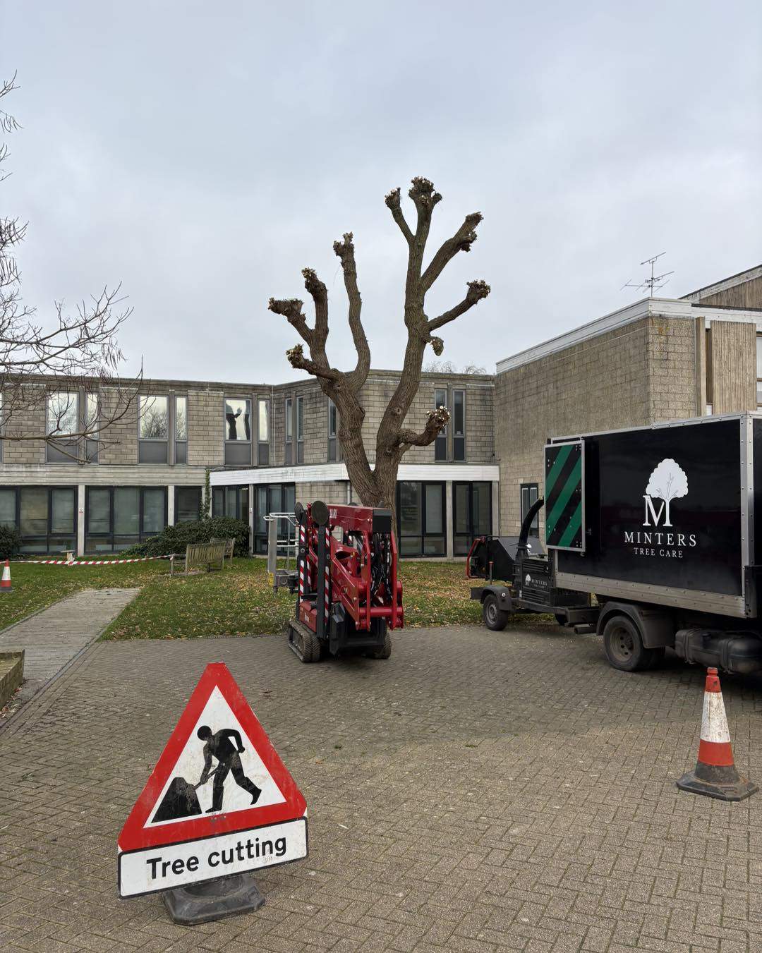 Tree felling for gardens and large sites in East Kent