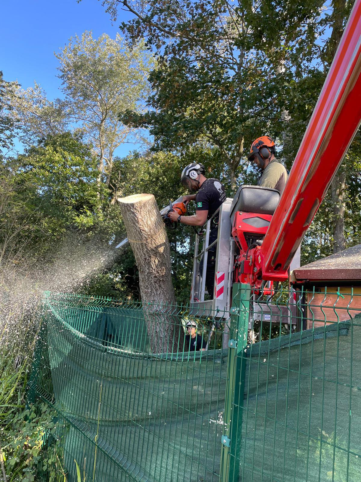 MEWP & Cherry Pickers