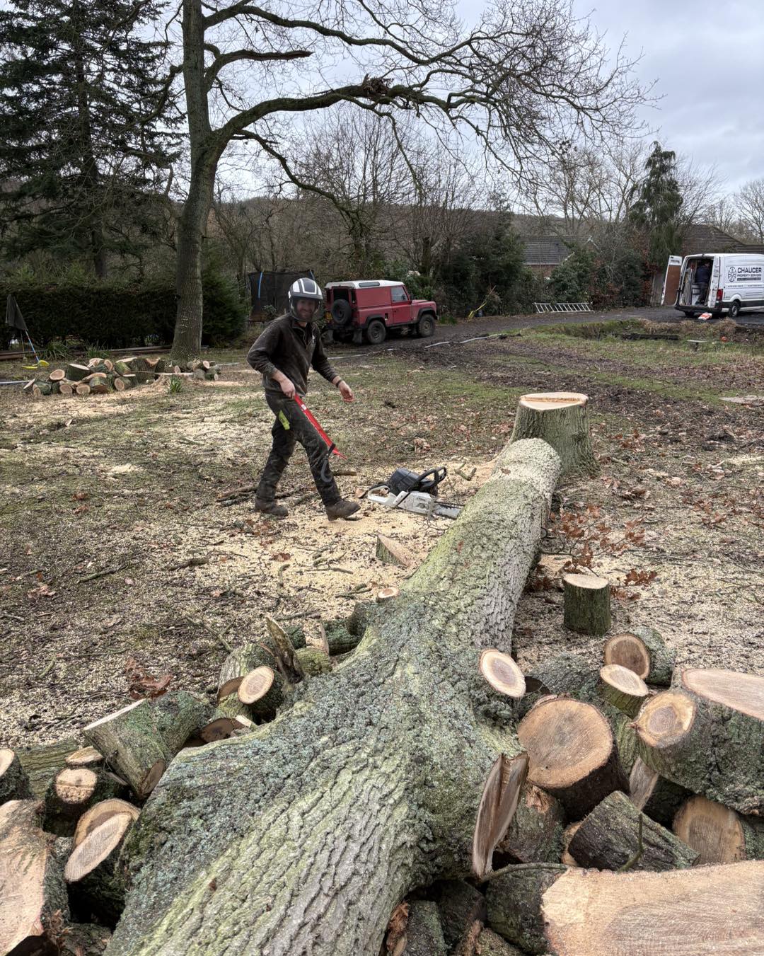 Minters Tree Care professional tree surgeons