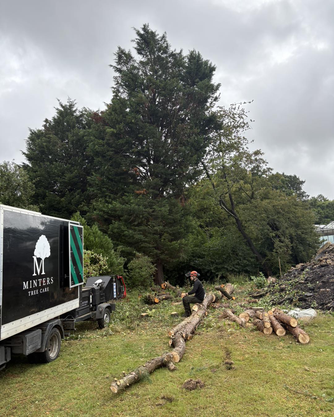 Minters Tree Care team at work in East Kent