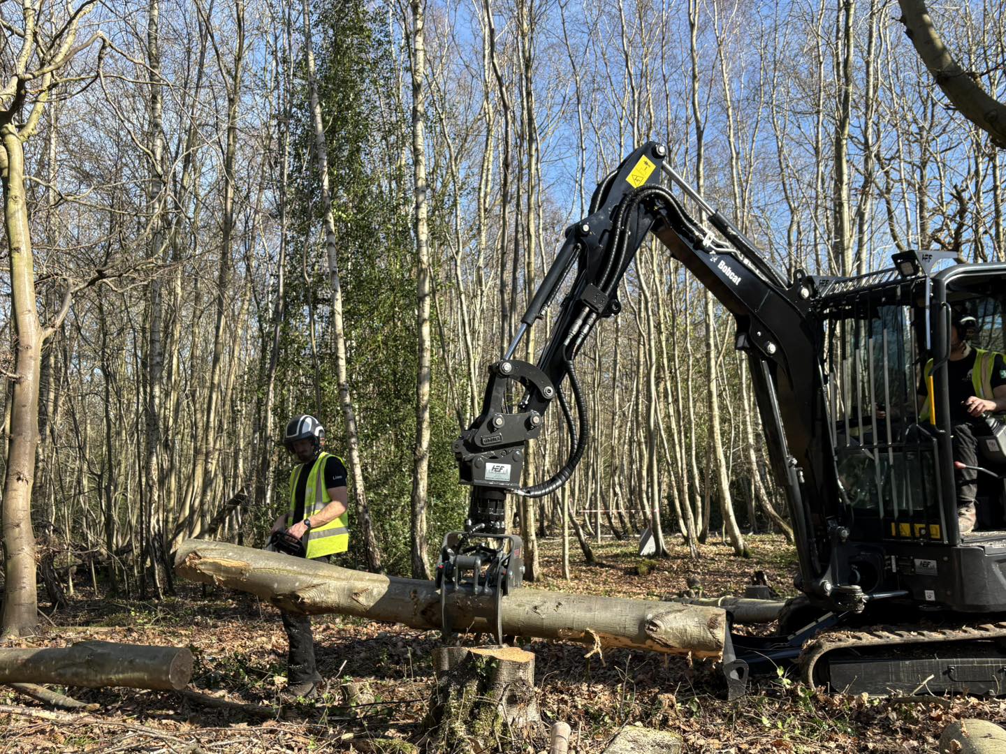 Minters Tree Care team working in woodland with machinery