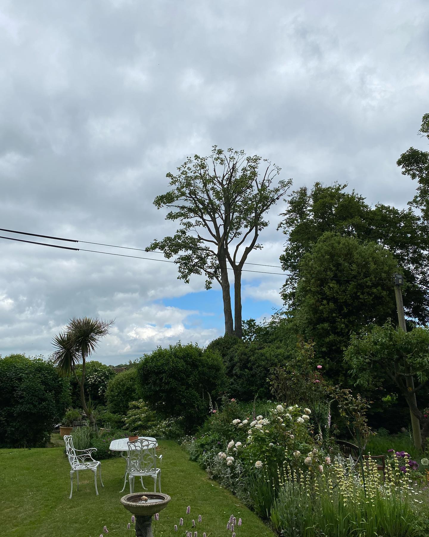 Minters Tree Care team, experienced tree surgeons in Kent