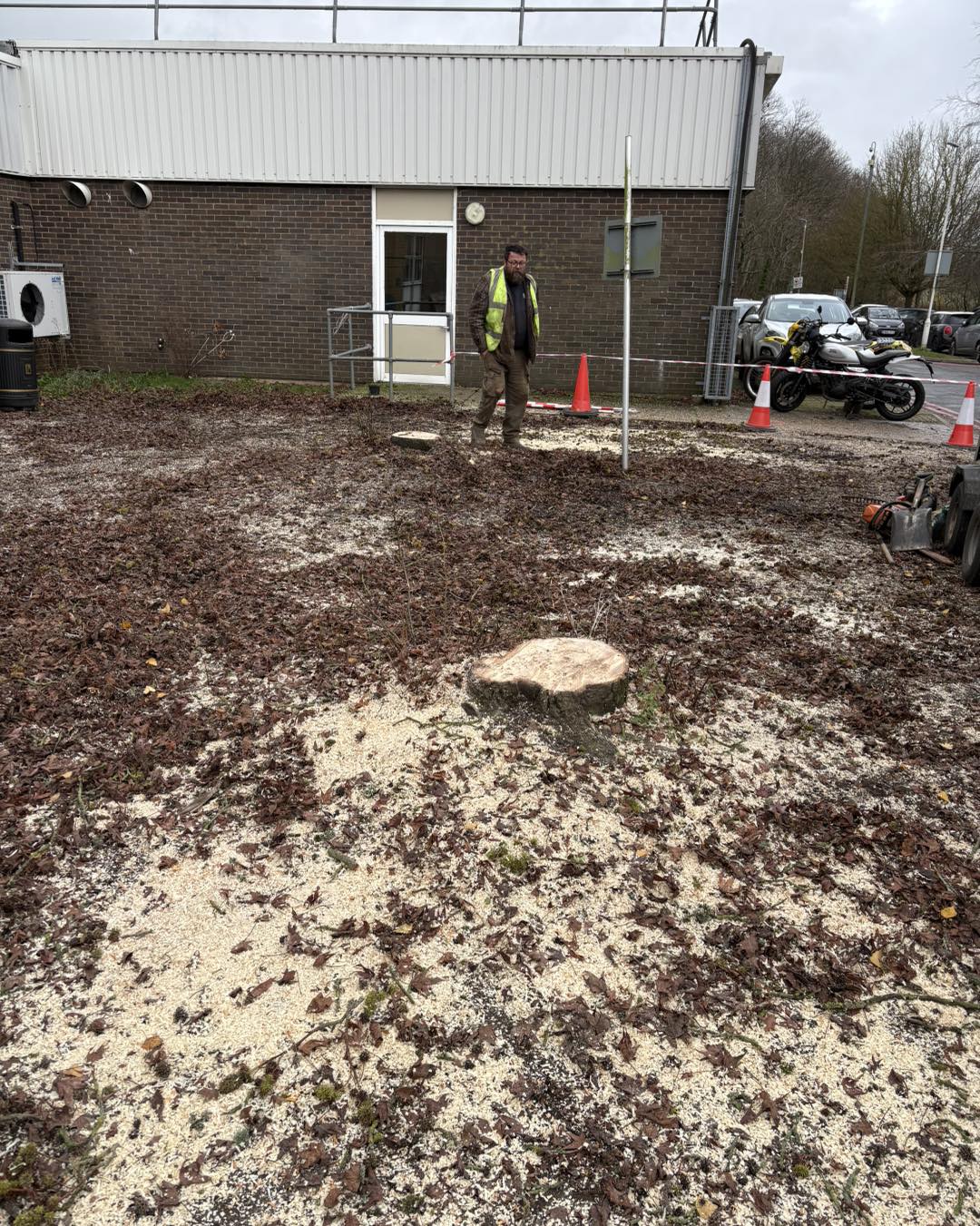 Stump grinding after tree removal in Kent