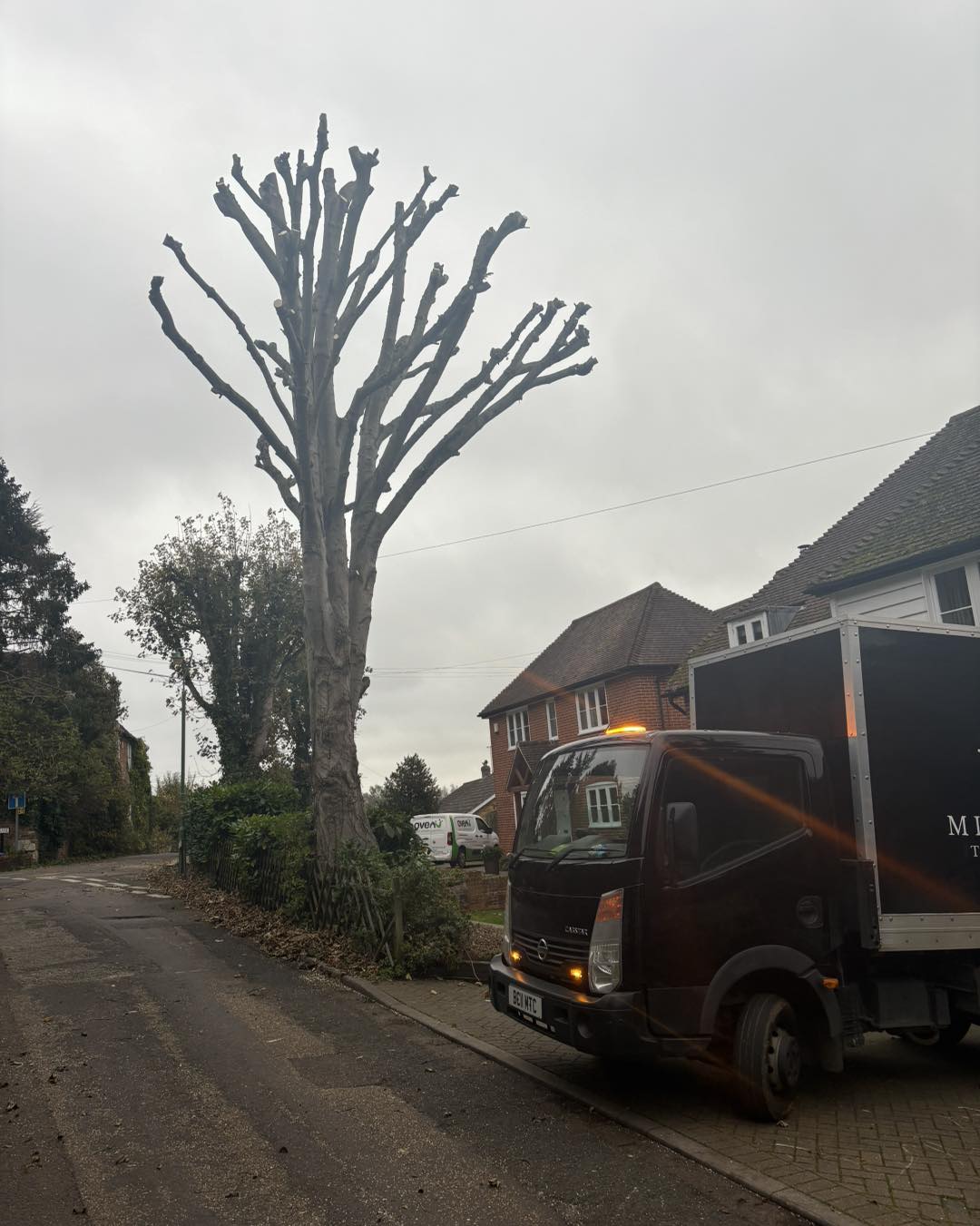 Tree crown reduction work in Kent