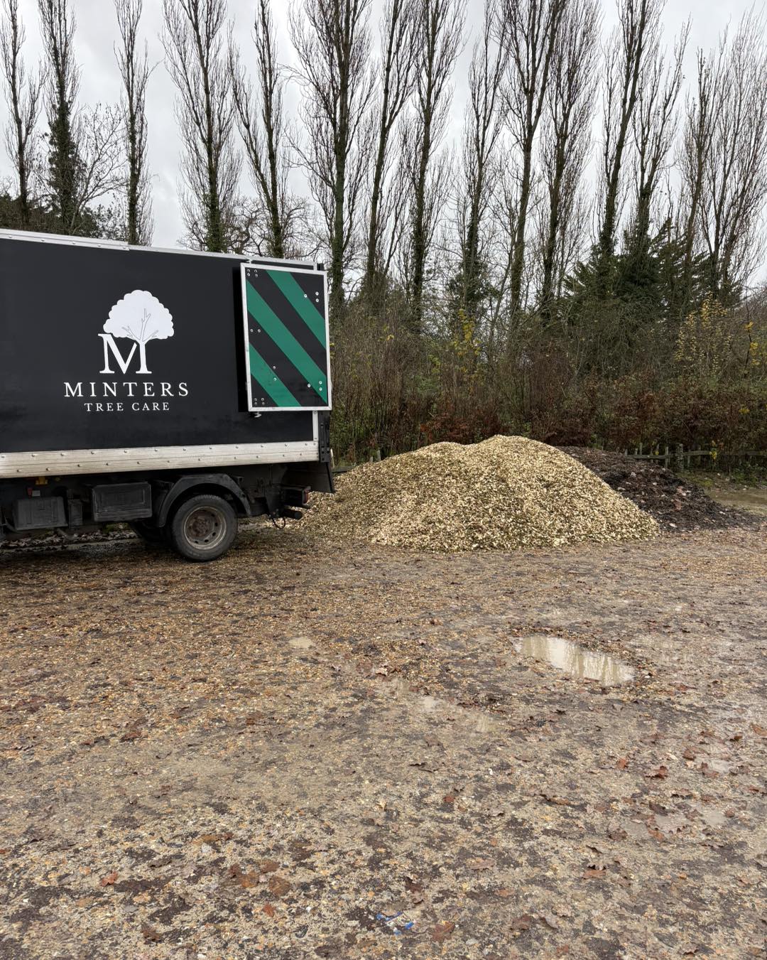 Woodchip from felled trees distributed to a local school in Ashford